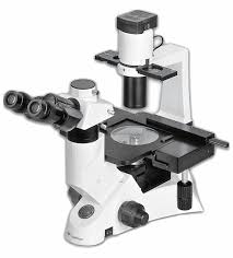Inverted microscope